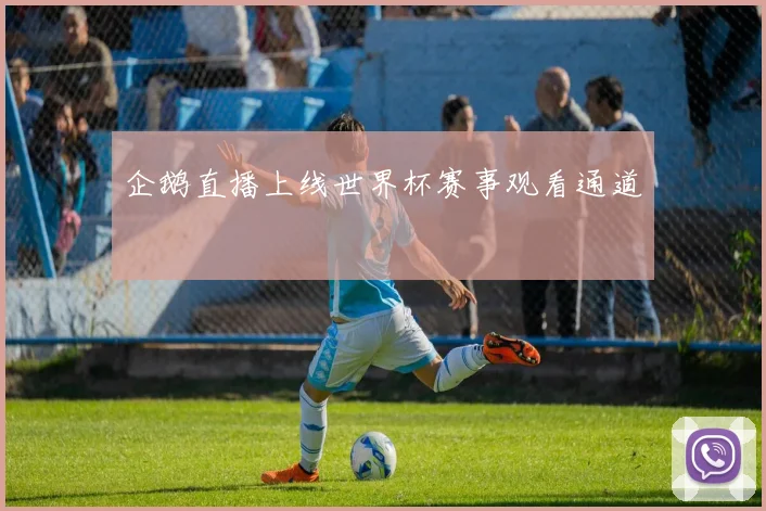 企鹅直播上线世界杯赛事观看通道