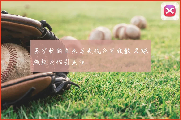 苏宁收购国米后央视公开致歉 足球版权合作引关注